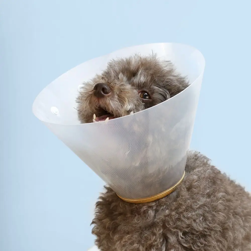 Coleira de Recuperação Transparente para Gatos Ajustável - Imagem 5