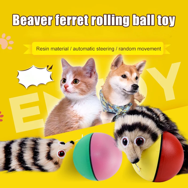 brinquedo bola elétrica para gatos