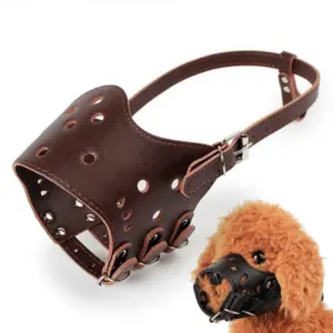 focinheira de couro para cães
