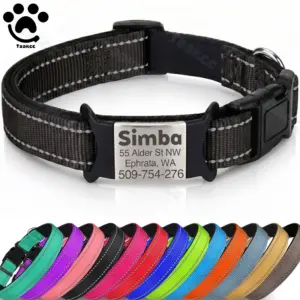 coleira personalizada para cães