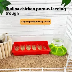 bebedouro e comedouro automático para aves