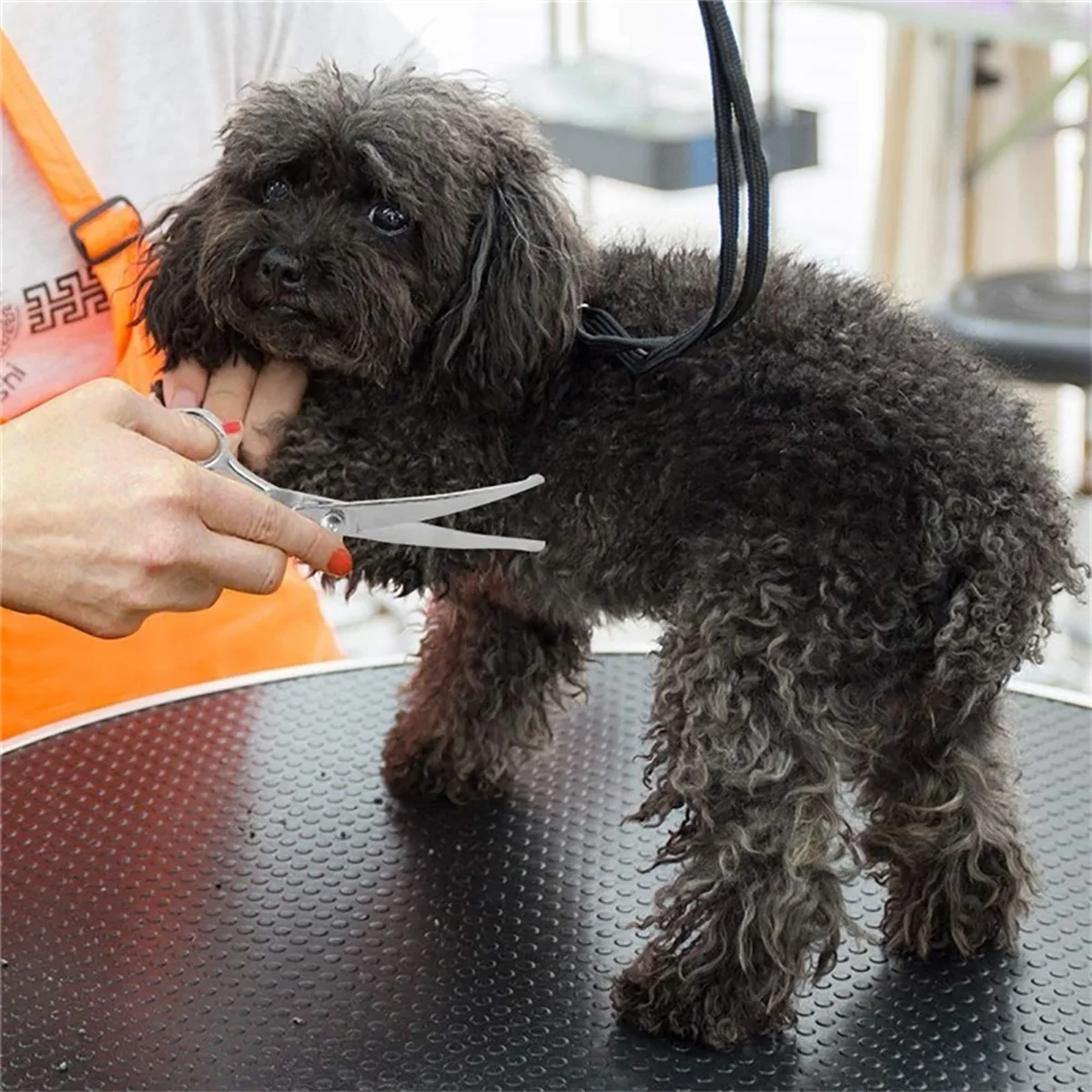 Tesoura para Cães e Gatos de Aço com Ponta Arredondada - Imagem 4