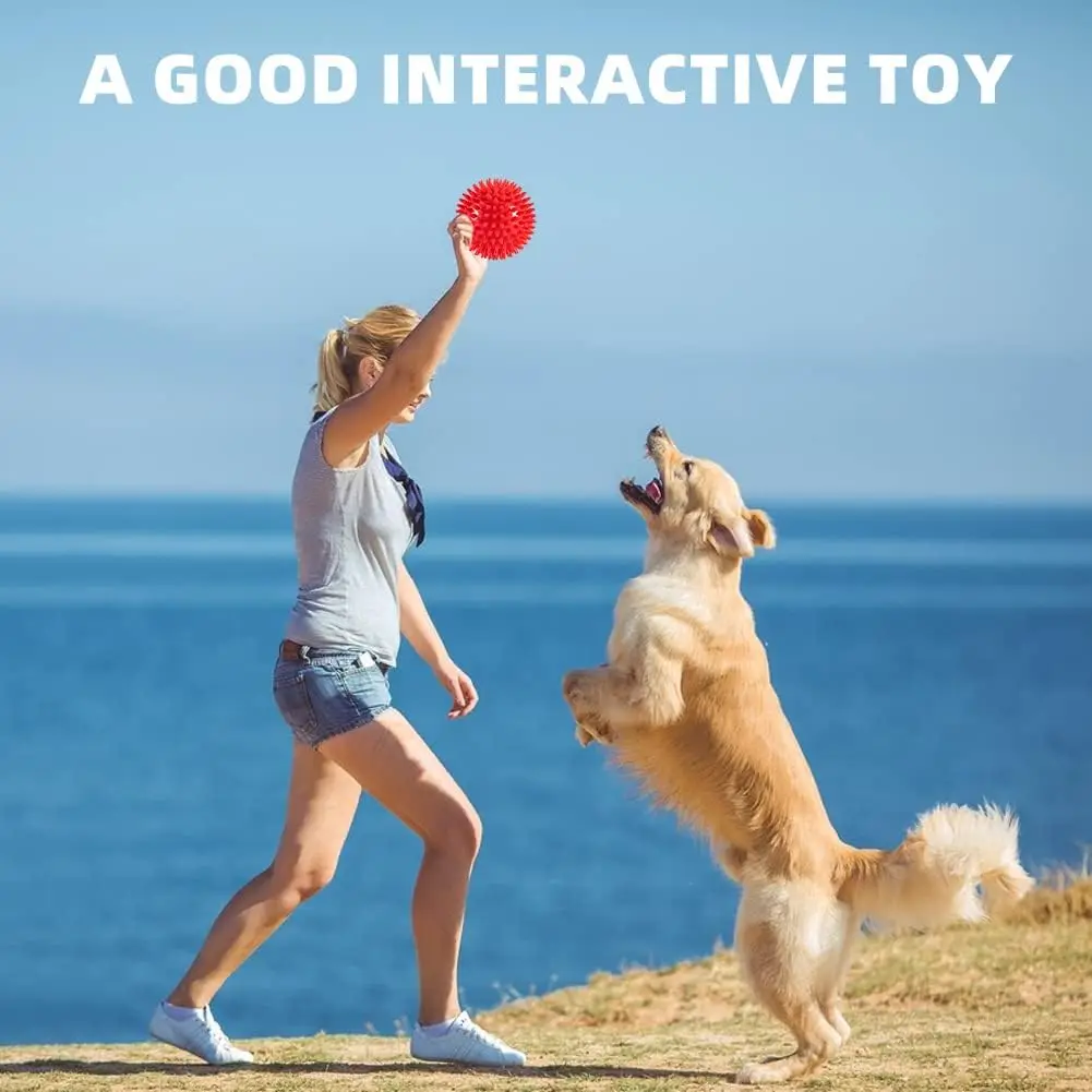 Bola para Cães com Apito e Textura Espetada Tamanho S - Imagem 5