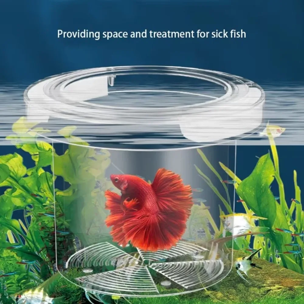 Caixa de Isolamento para Aquário Flutuante Acrílico Transparente - Imagem 3