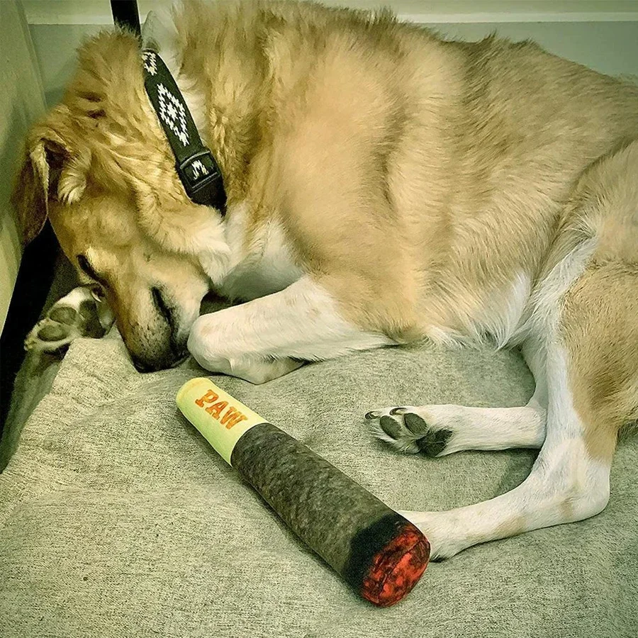 Brinquedo de Pelúcia para Cães Pequenos e Médios com Som - Imagem 6