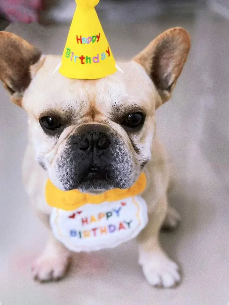 Bandana de Aniversário para Cães e Gatos Ajustável - Image 4