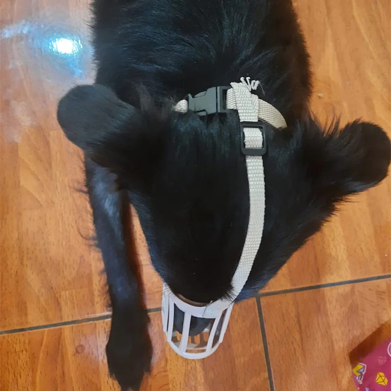 Focinheira Ajustável para Cães Médios e Grandes de 8 a 35 kg - Imagem 4