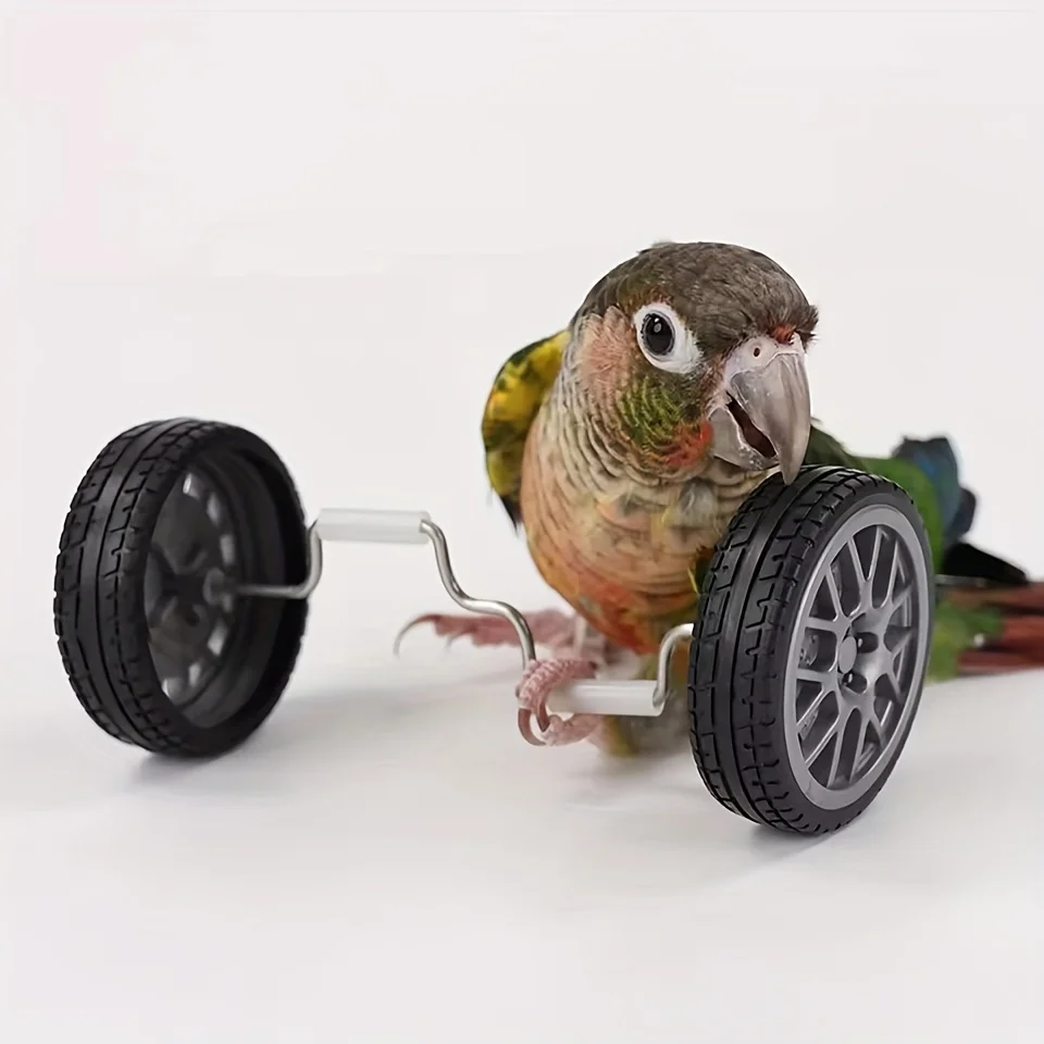Brinquedo Bicicleta para Pássaros, Mini Rodas para Treinamento - Imagem 4
