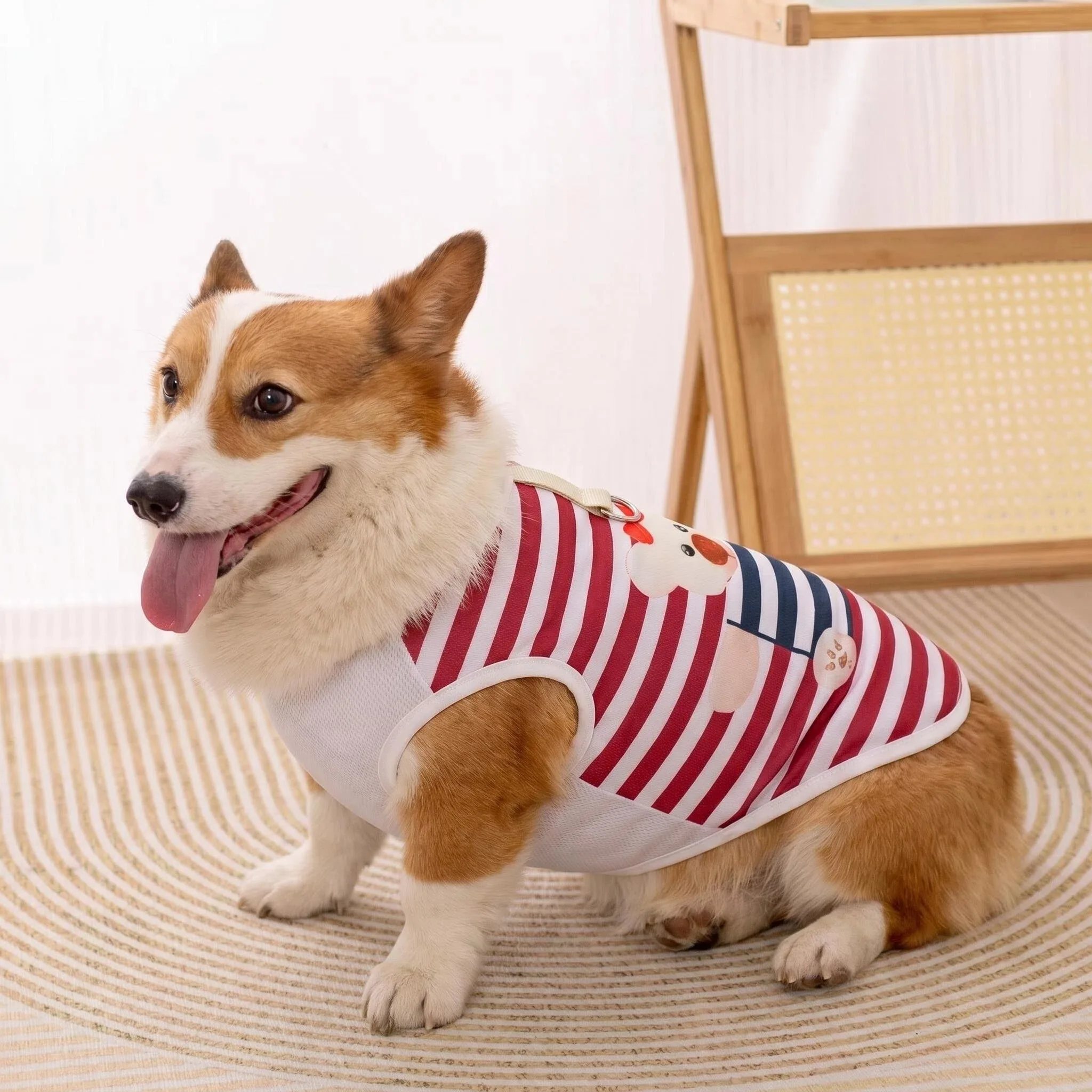 Colete Refrescante para Cães de Poliéster com Desenho Animado - Image 6