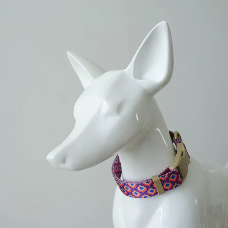 Coleira para Cães de Nylon Ajustável com Gravação Personalizada - Image 5