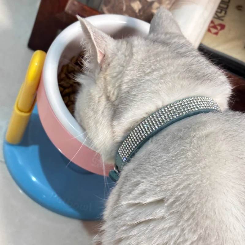 Coleira para Cães e Gatos de Couro com Strass Brilhante - Imagem 4