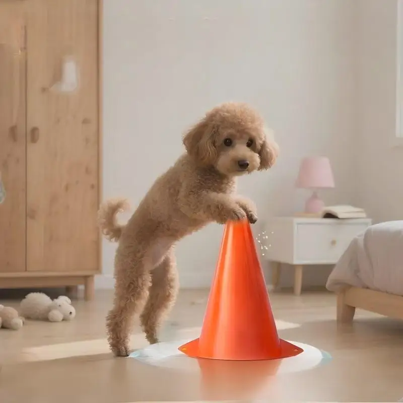 Sanitário Canino para Cães Lavável e Reutilizável - Imagem 3