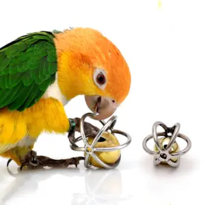 brinquedo para pássaros bola com sino