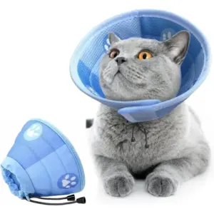 colar de recuperação para gatos ajustável
