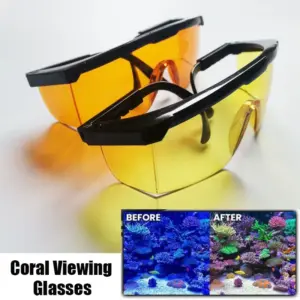 óculos de visualização de coral para aquário