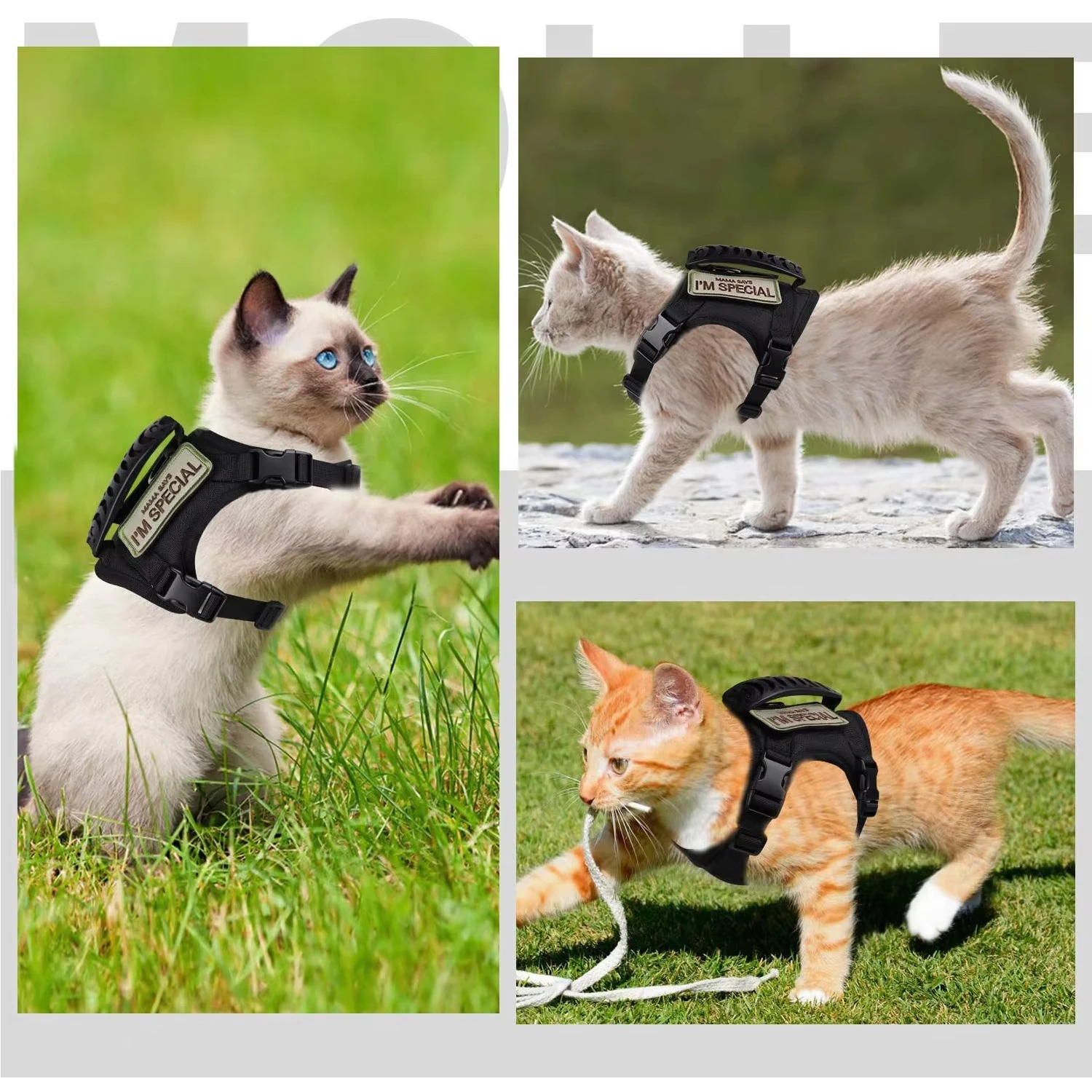 Coleira Tática para Gatos Ajustável e à Prova d'Água para Passeio - Imagem 2