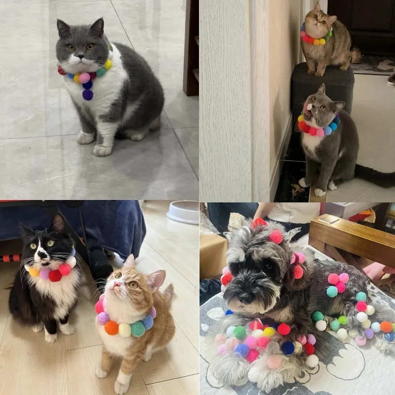 Bolinhas de Pelúcia para Gatos Coloridas com Lançador - Imagem 5