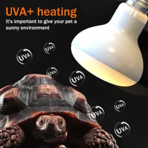 lâmpada de calor uva para répteis