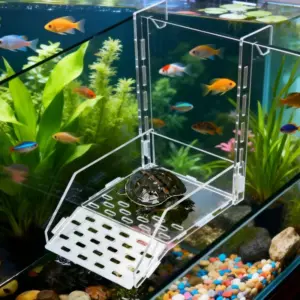 plataforma de acrílico transparente para tartarugas