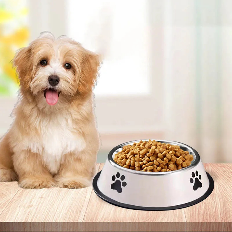 Tigela para Cães de Aço Inoxidável com Base Antiderrapante - Imagem 2