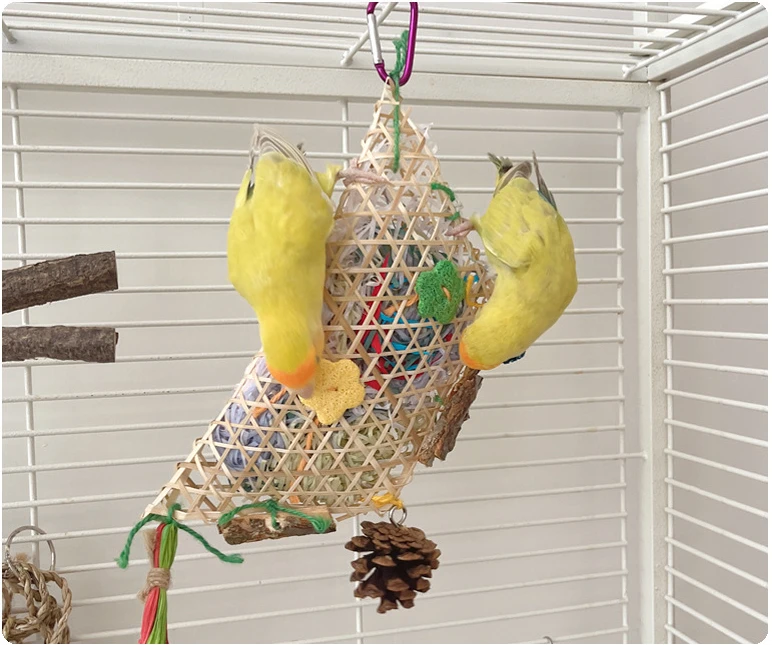 Brinquedo de Forrageamento para Pássaros de Bambu com Papel Triturado - Imagem 3