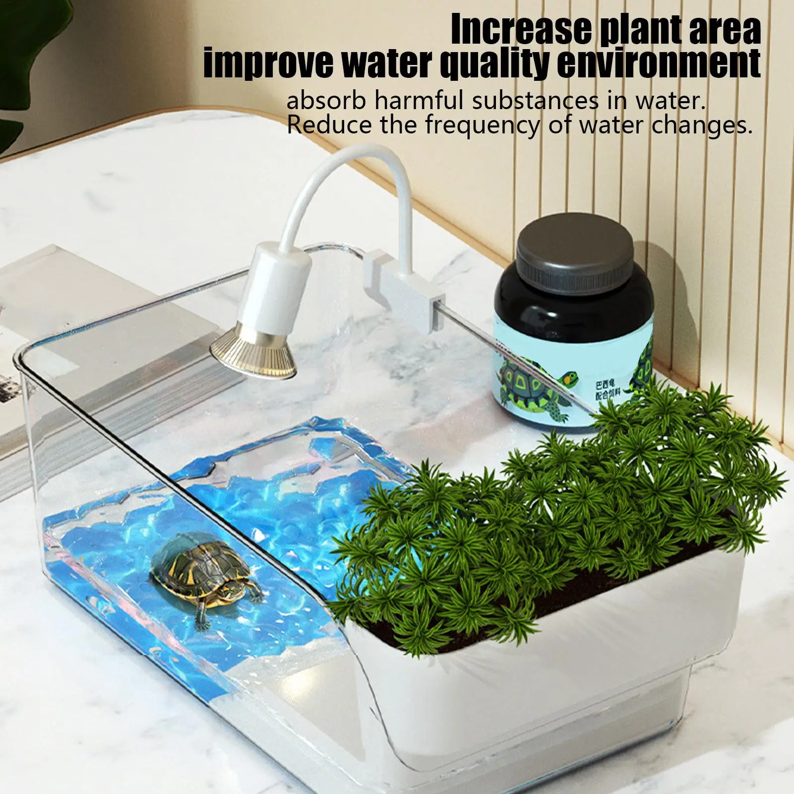 Caixa de Habitat Transparente para Tartarugas e Répteis Pequenos - Imagem 6