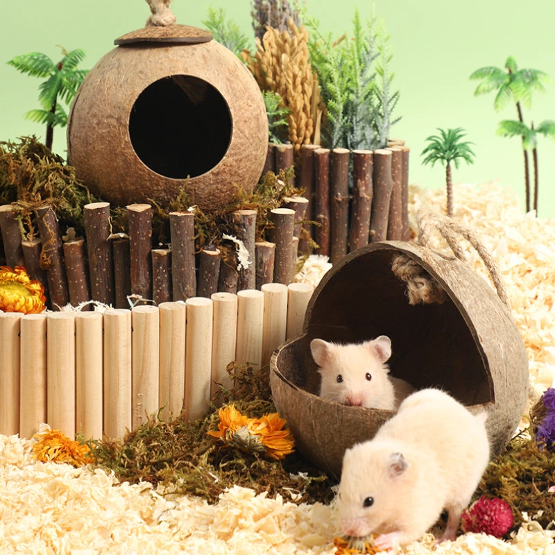 Casa de Coco para Hamster Natural Esconderijo Brinquedo - Imagem 3