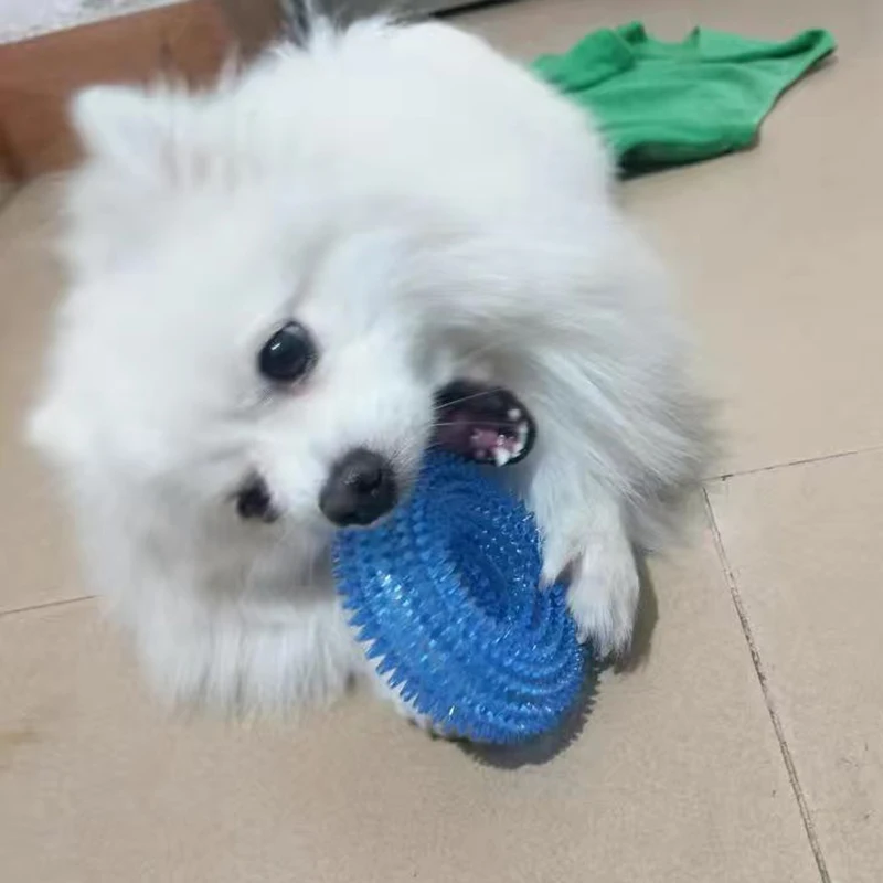 Brinquedo Donut TPR para Cães com Squeak para Cães Pequenos e Médios - Imagem 4