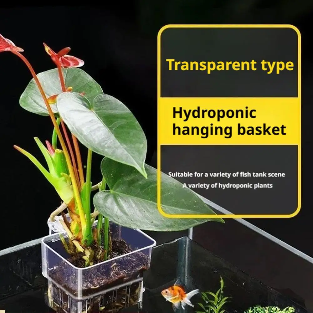 Suporte de Planta para Aquário Transparente 8 cm com Visão da Raiz - Imagem 4