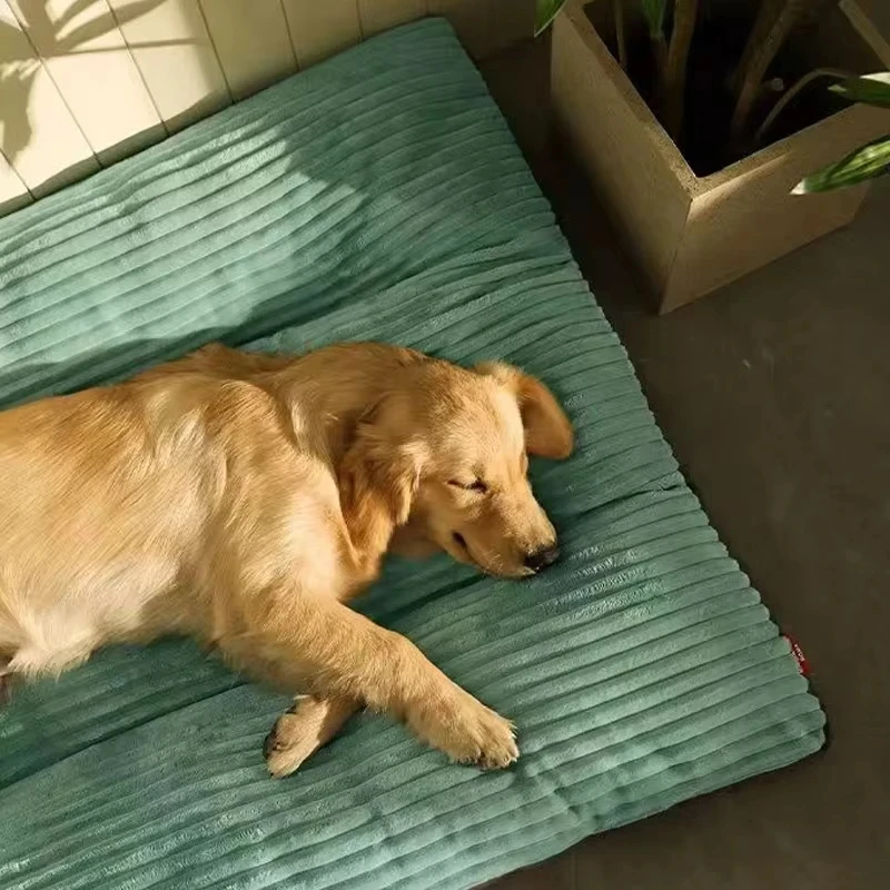 Cama Sofá para Cães de Veludo com Capa Removível e Lavável - Image 2