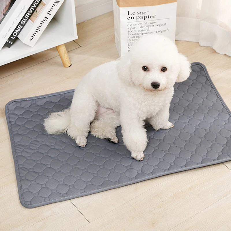 Tapete Higiênico Lavável para Cães com Fundo Antiderrapante - Imagem 5