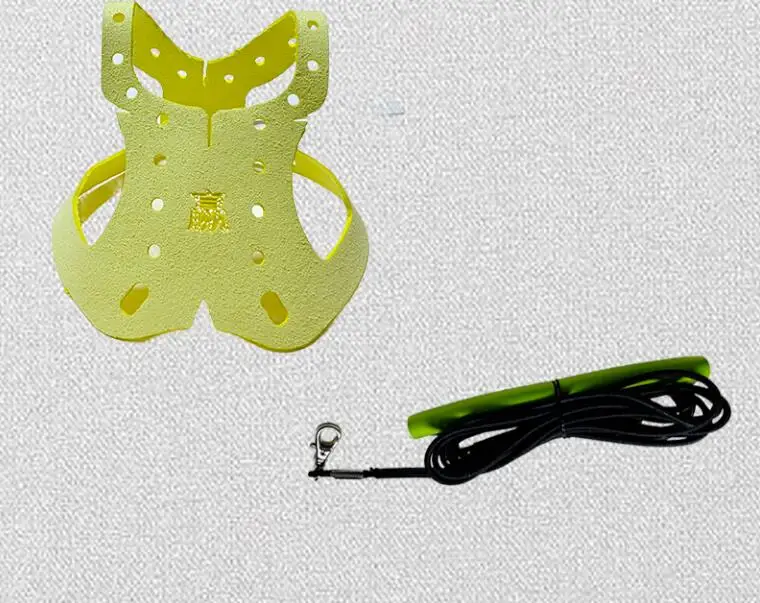 Coleira e Guia para Pássaros: Papagaio, Pombo, com Corda de Tração Resistente - Imagem 6