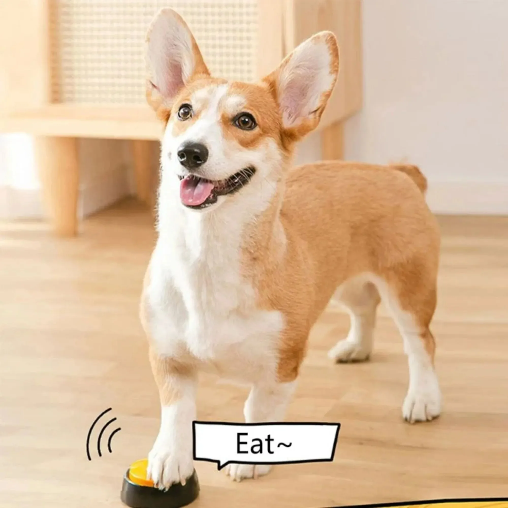 Botão de Comunicação para Cães com Gravação de Voz de 30 Segundos - Imagem 3