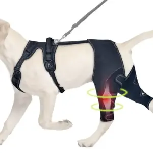 cinta ortopédica para cães de neoprene