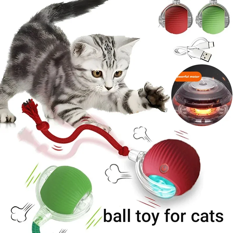 bola interativa para cães e gatos