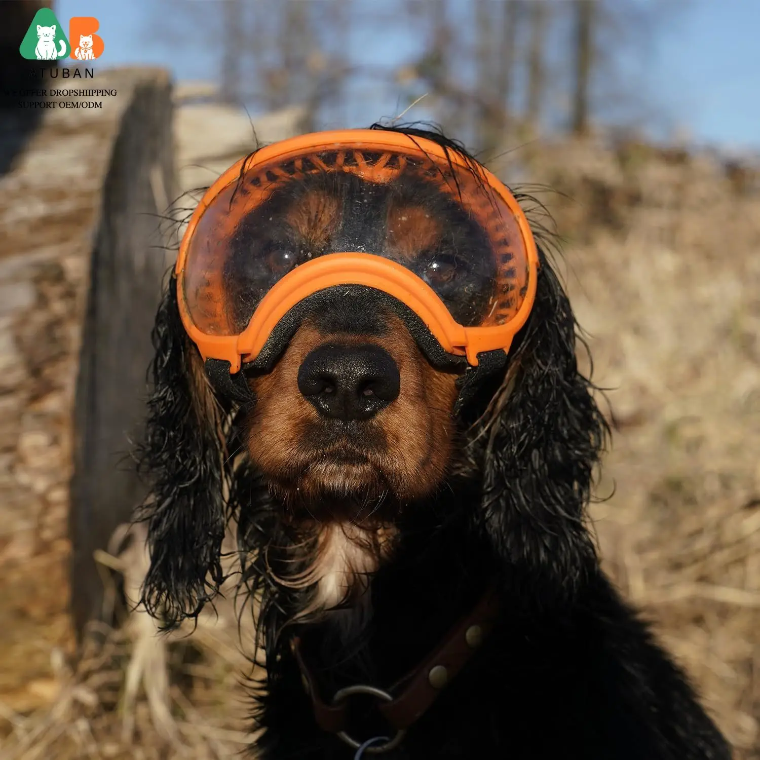 Óculos de Sol para Cães com Proteção UV e Alça Ajustável - Imagem 4
