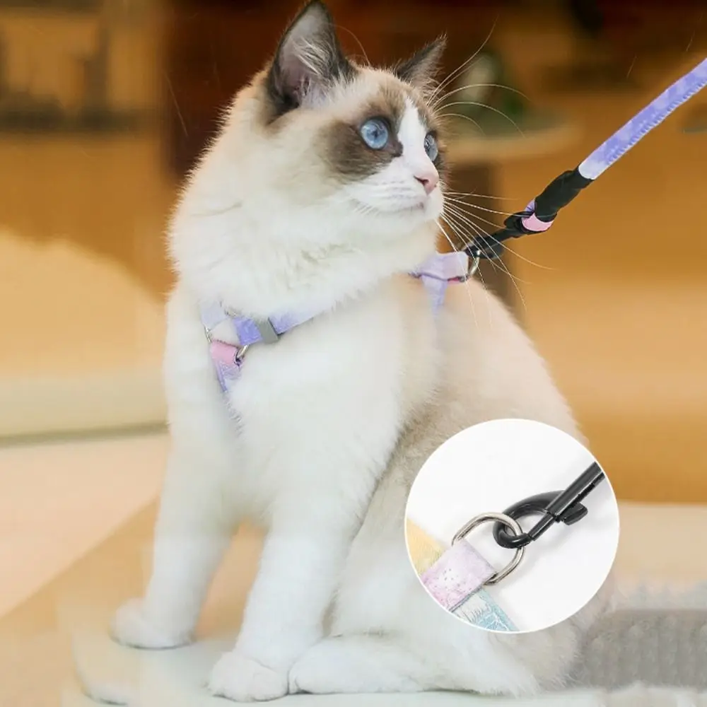 coleira peitoral e guia para gato ajustável