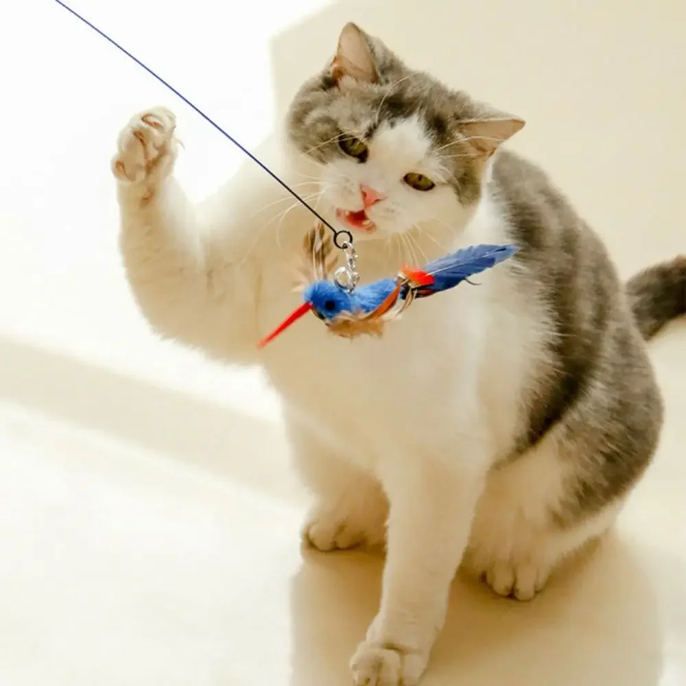 Brinquedo para Gatos com Pena e Ventosa para Fixar - Imagem 4