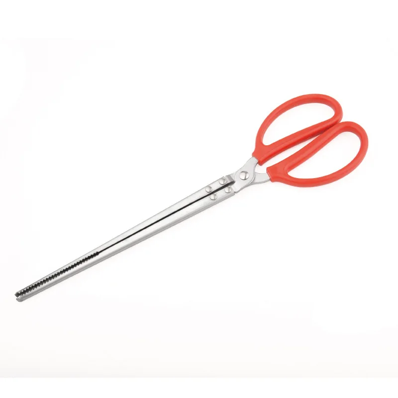 Pinça de Aço Inoxidável para Répteis e Aquário 30 cm com Ponta Ranhurada - Imagem 3