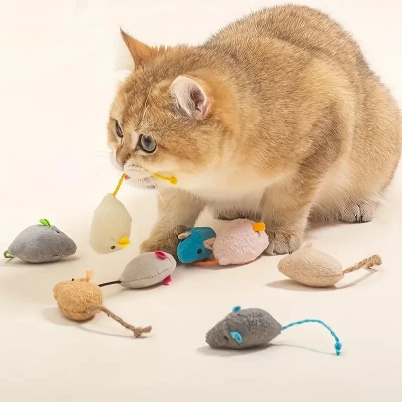 brinquedo de catnip para gatos