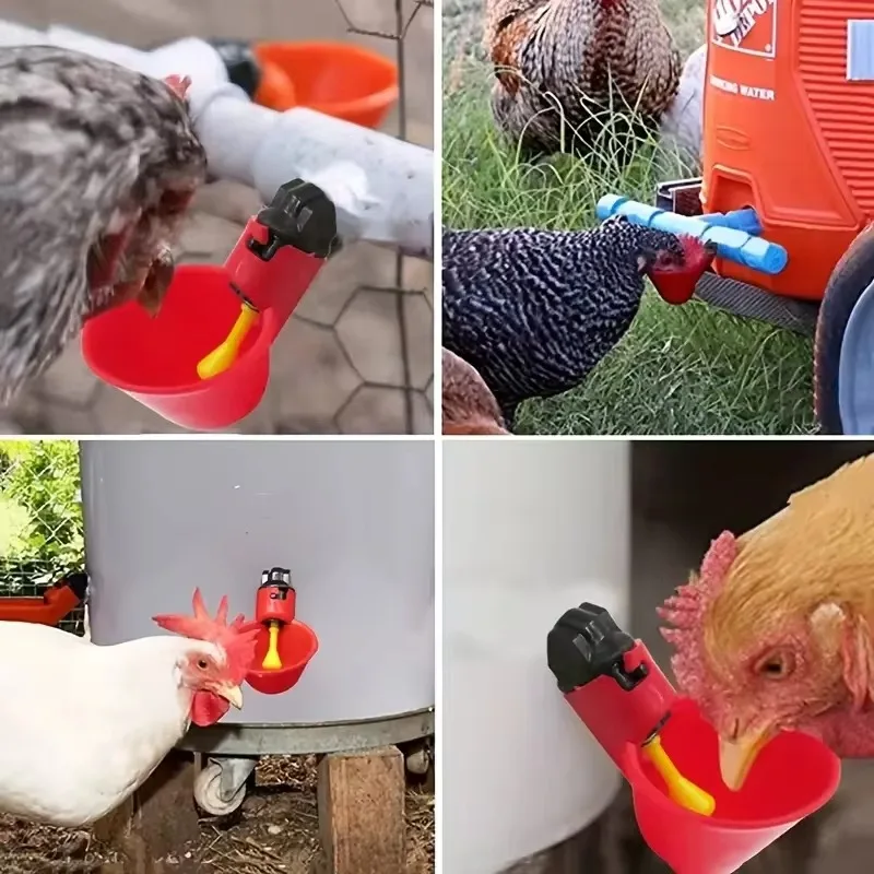 Bebedouro Automático para Aves 5 a 20 Peças com Abastecimento por Gravidade - Imagem 6