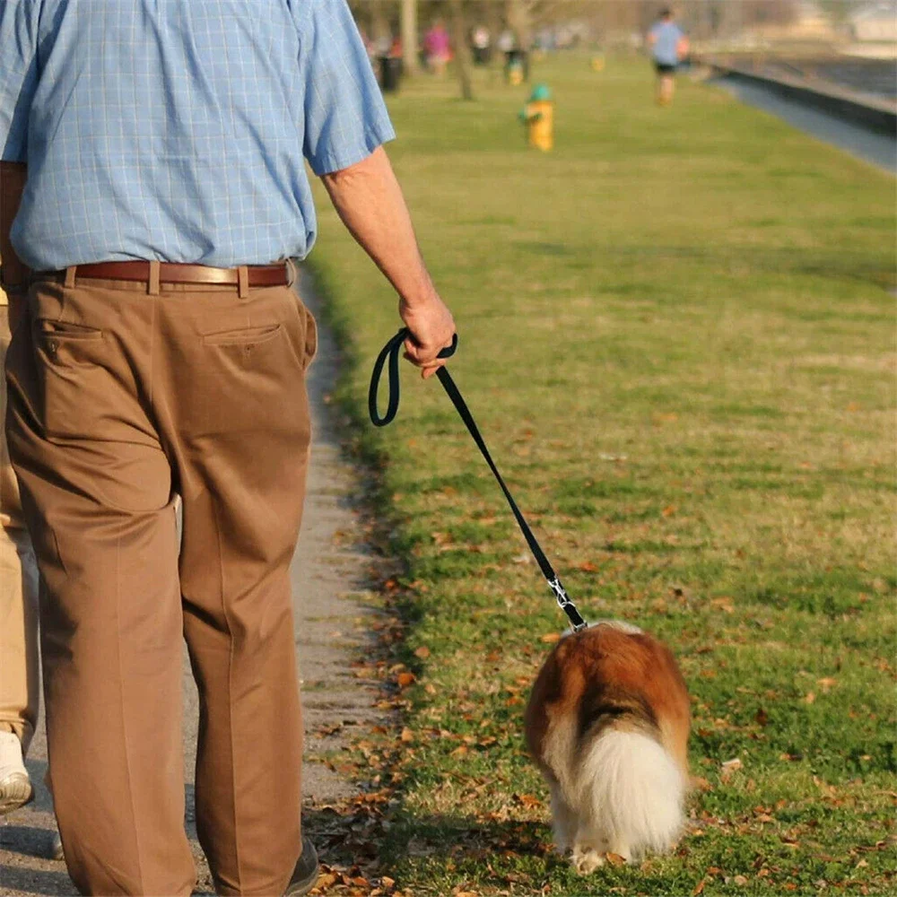 Trela para Cães de Nylon 2,5 m Ajustável para Passeio e Treinamento - Imagem 4