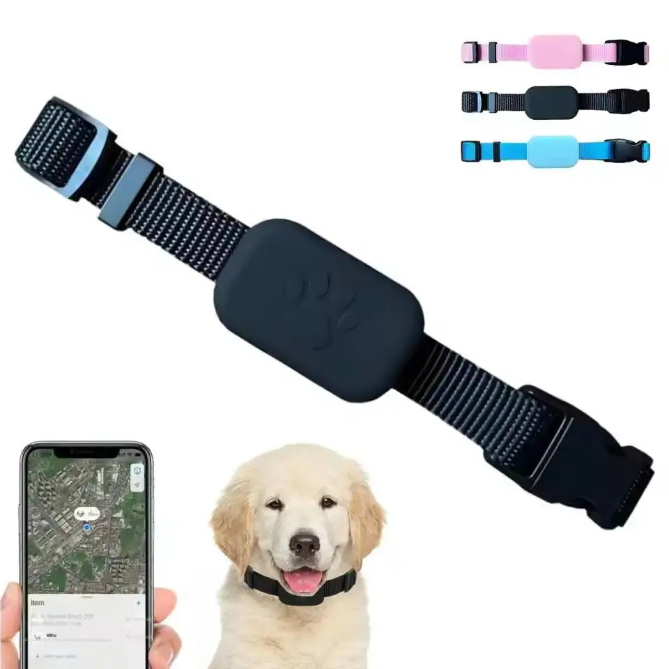 rastreador gps para cães e gatos