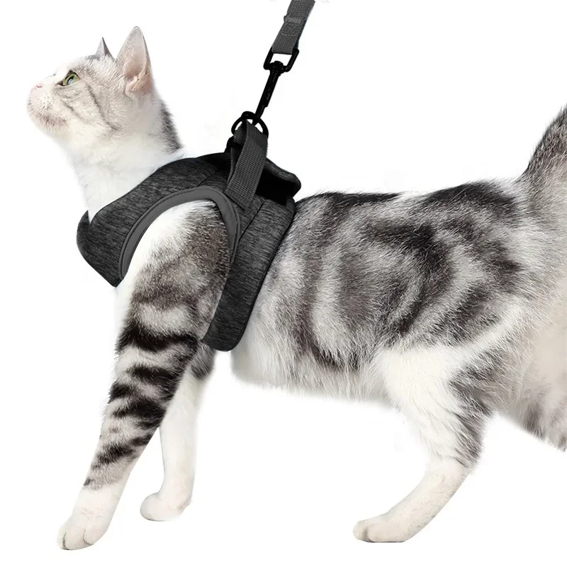 colete para gatos com tiras refletivas
