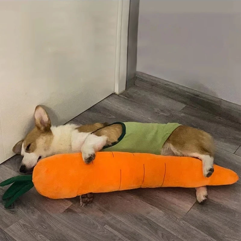 Brinquedo Cenoura para Cães de Pelúcia com Som para Morder - Imagem 3