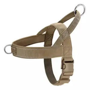 colete tático para cães