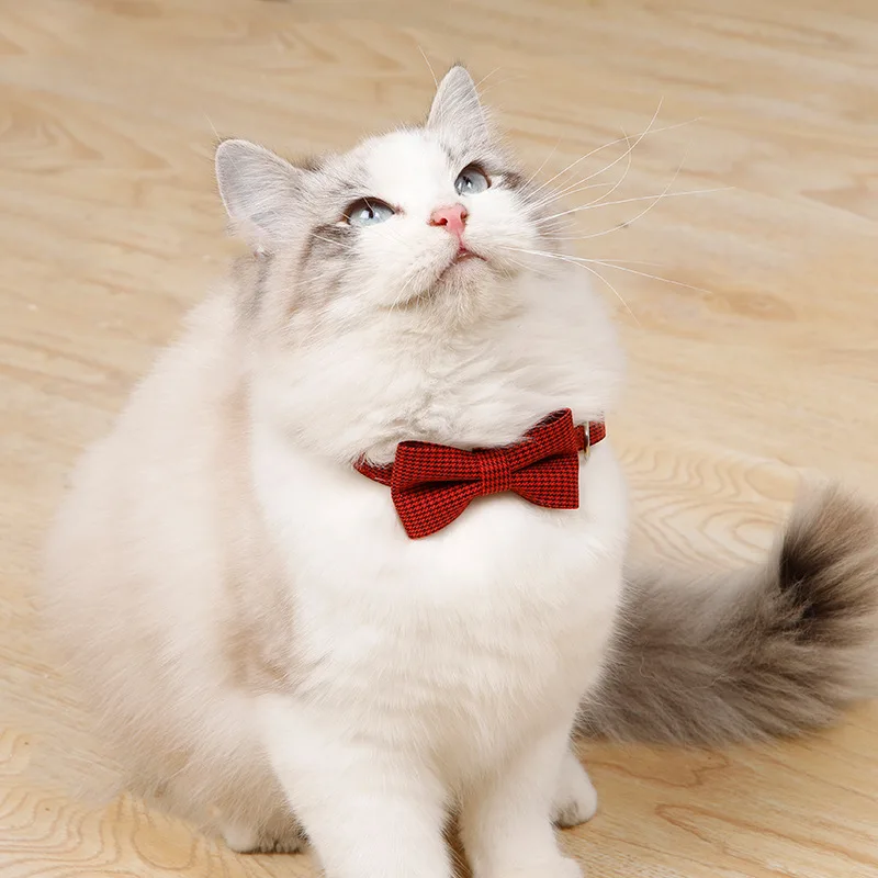 Coleira para Gatos e Cães Pequenos de Poliéster Ajustável 19-32 cm - Imagem 2