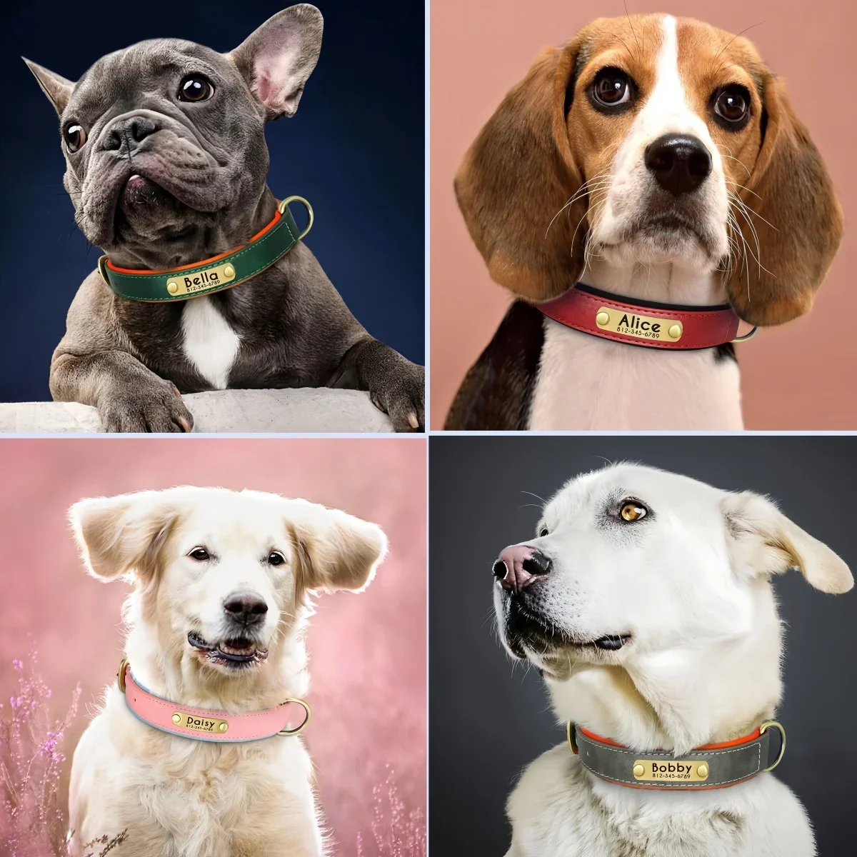 Coleira de Couro Acolchoada para Cães com Placa de Identificação - Imagem 3