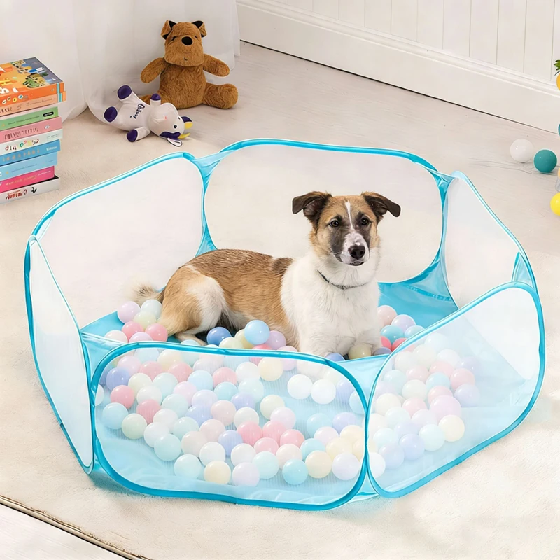 piscina de bolinhas para cães e gatos