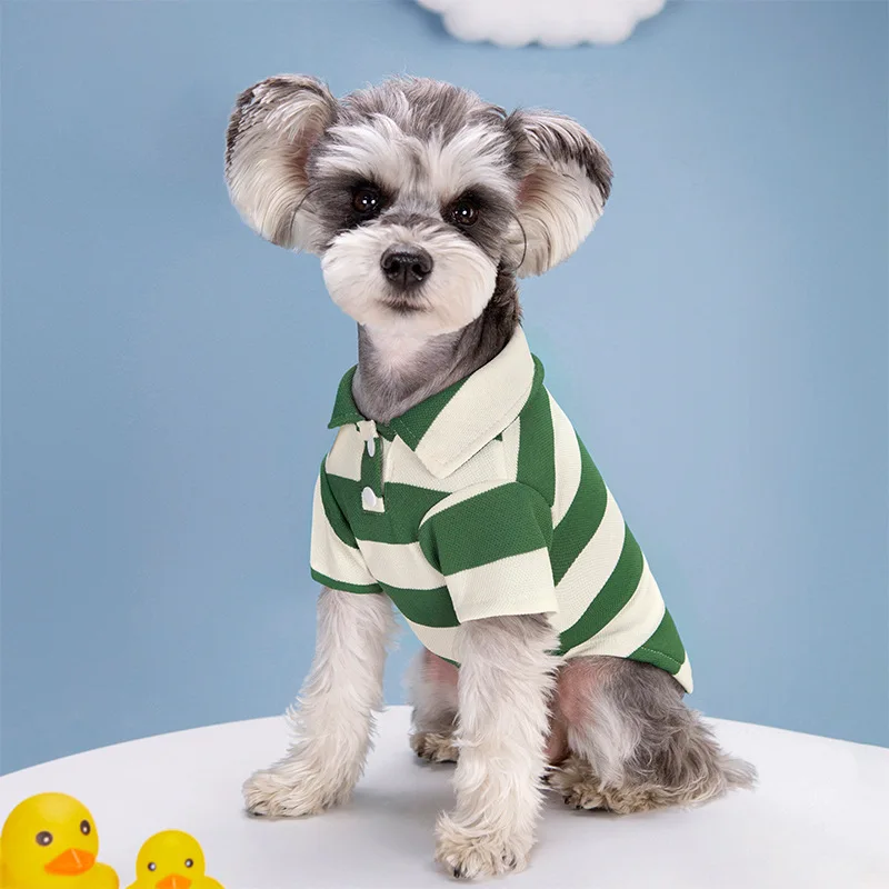 camisa polo para cães e gatos